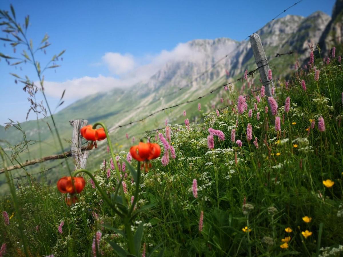 Mountain Lodge Forte Emilia Kobarid Εξωτερικό φωτογραφία
