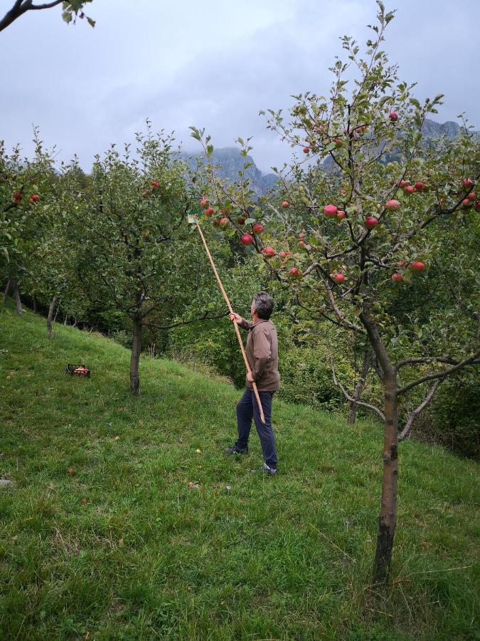 Mountain Lodge Forte Emilia Kobarid Εξωτερικό φωτογραφία