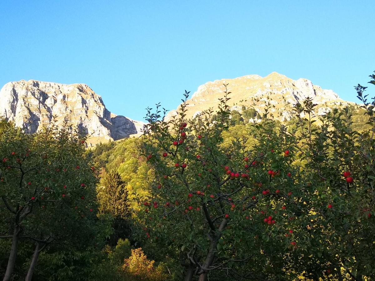 Mountain Lodge Forte Emilia Kobarid Εξωτερικό φωτογραφία